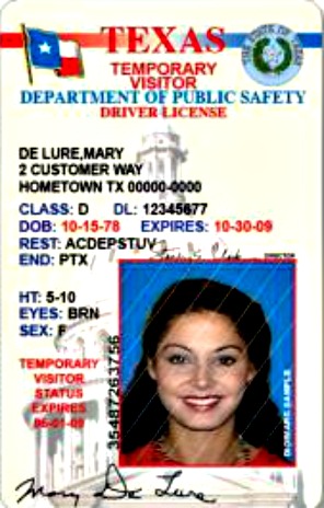 texas driver license international student